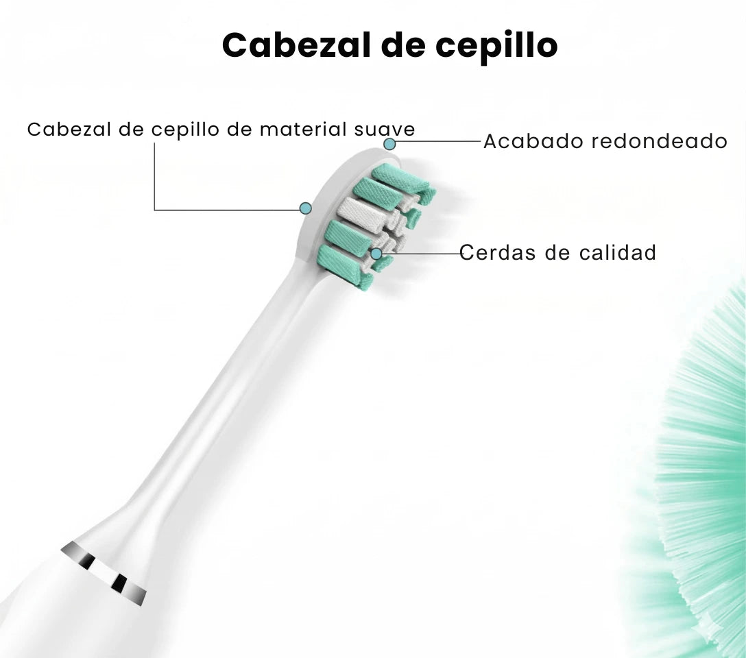 Cepillo Dental Eléctrico Recargable Dientes 4 Cabezales
